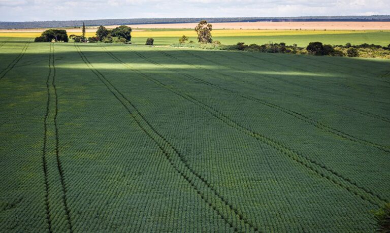 CMN aumenta prazo para análise de pedidos ao Proagro