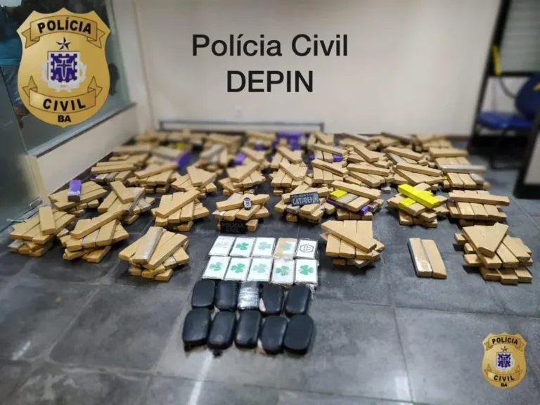 Mais de 231 toneladas de drogas são retiradas de circulação em 2022