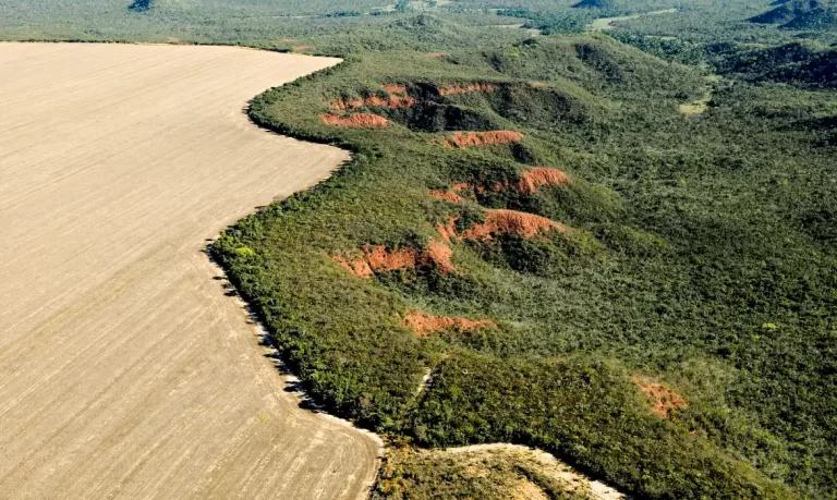 Cerrado tem alta de 19% nos alertas de desmatamento em fevereiro