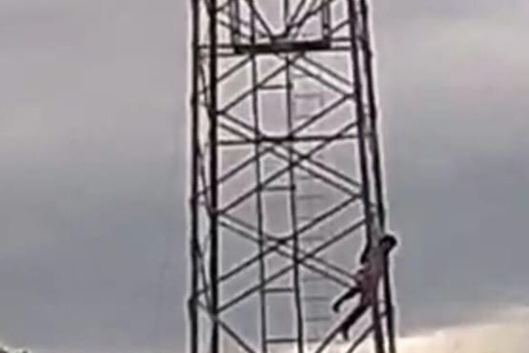 Homem cai de torre telefônica ao ser atacado por abelhas em Maracás, no interior da Bahia