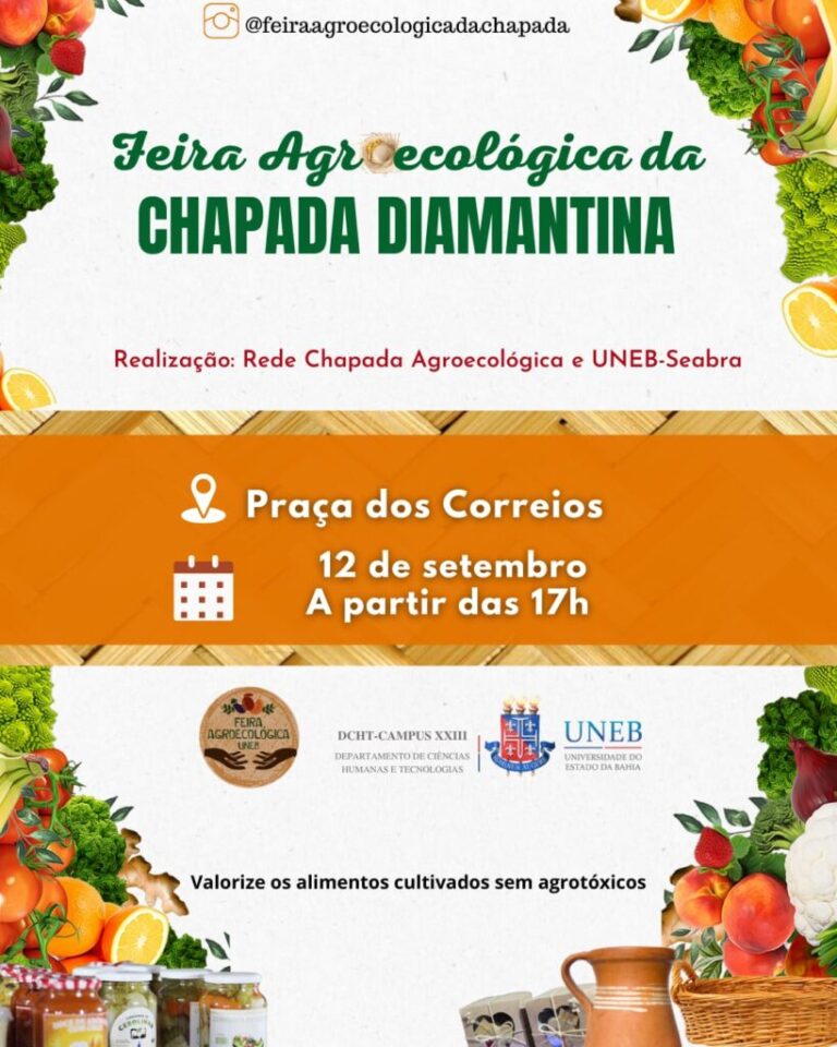 Feira agroecológica da Chapada Diamantina valoriza os quintais produtivos e o artesanato dos produtores e produtoras locais