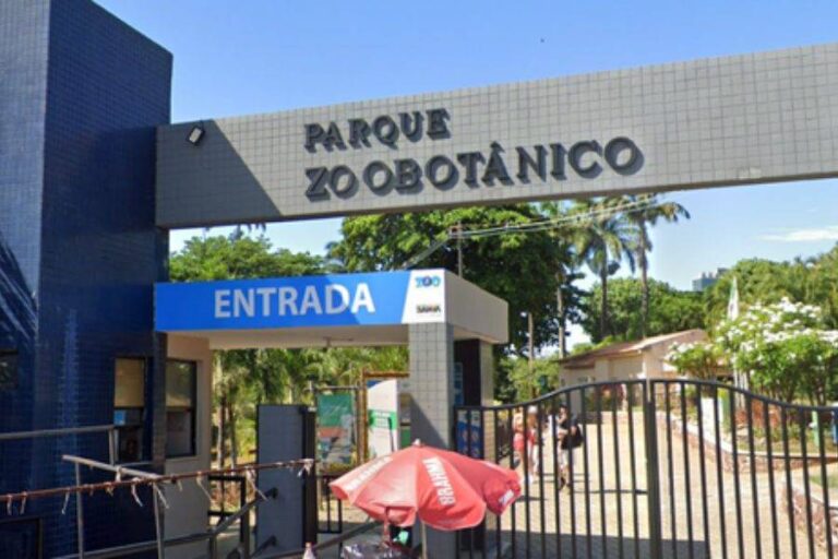 Zoológico De Salvador Reabre Após Três Meses De Reforma