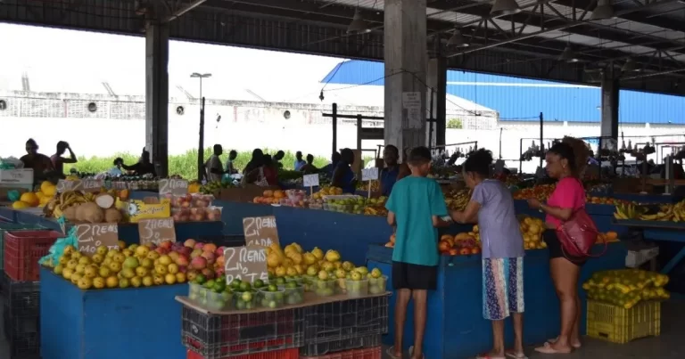 Ceasa Do Ogunjá é Interditada Sem Previsão De Reabertura