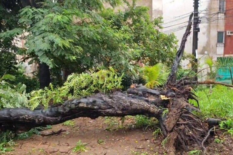 Chuvas De Maio Já Superam Média Do Mês Em Salvador