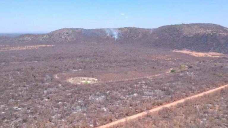Bahia é O 4º Estado Com Mais Crimes Ambientais No Brasil, Aponta Relatório
