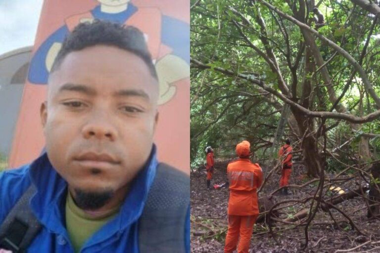 Homem Permanece Há Mais De 43 Horas No Alto De árvore Na Base Aérea De Salvador