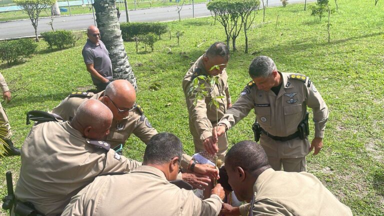 Polícia Militar Da Bahia Celebra 20 Anos Do Nafro Com Plantio De Baobá
