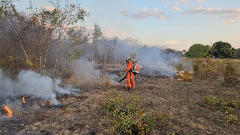 Vinte Cidades Baianas Estão Sob Alerta De Incêndio; Saiba Quais