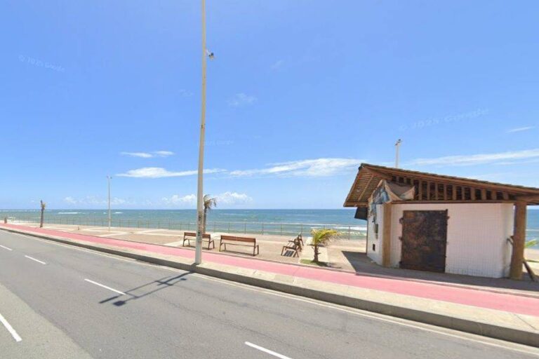 Golfinho é Resgatado Em De Salvador