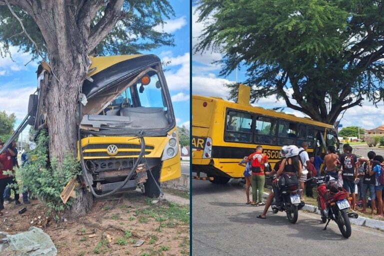 VÍDEO: Acidente Com ônibus Escolar Deixa Dez Feridos Na Bahia