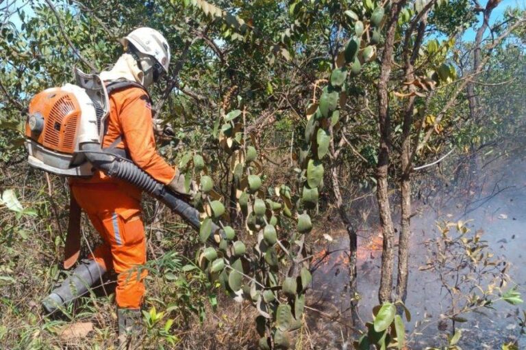 Bombeiros Combatem Há Mais De 24h Incêndios No Oeste Da Bahia