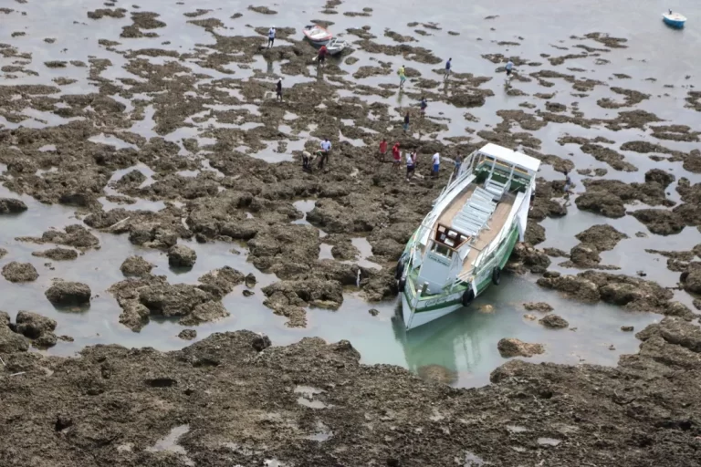 Oito Anos Da Tragédia Da Cavalo Marinho I: Dor, Impunidade E Lições Não Aprendidas