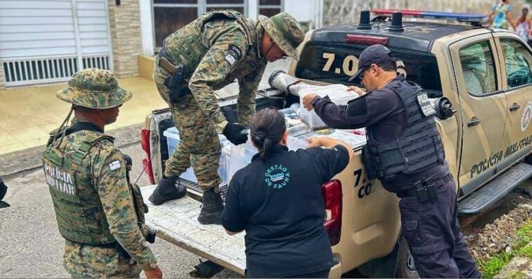 Operação Conjunta Apreende 240 Animais Silvestres Em Salvador