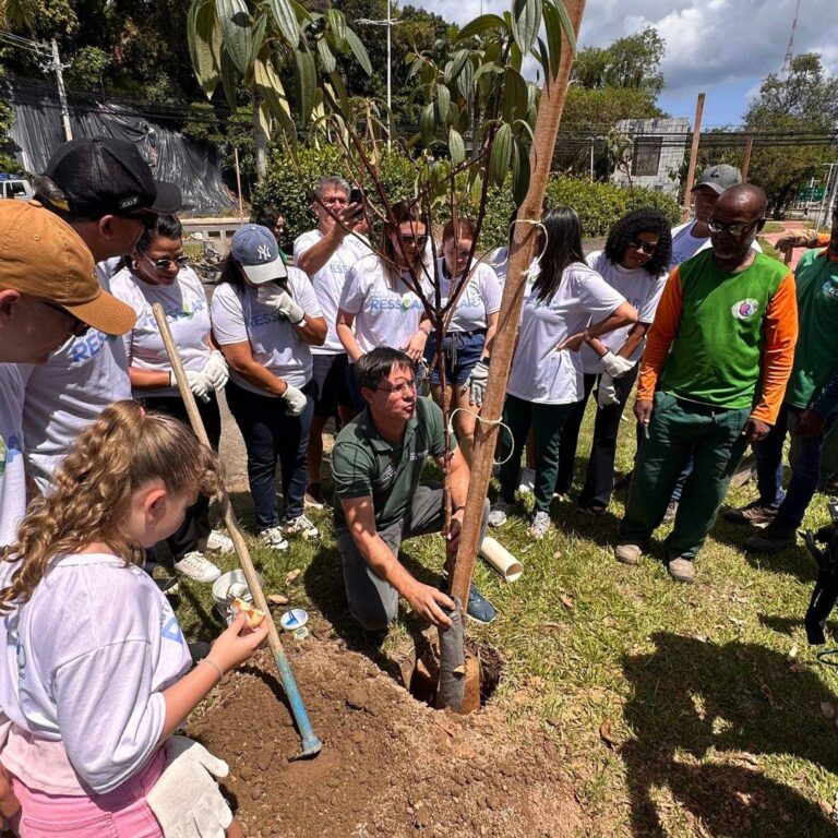 VÍDEO: Voluntários Da Record Bahia E Rádio Sociedade Vão As Ruas Plantar árvores Em Salvador