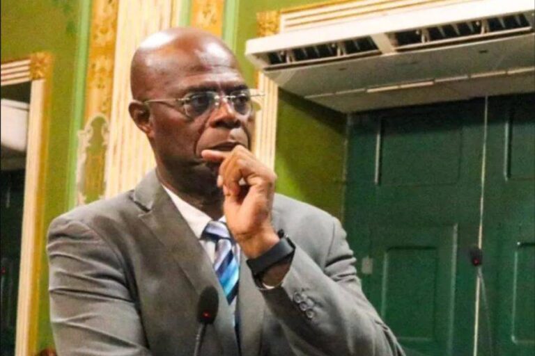 Conselho De ética Arquiva Pedido De Cassação Contra Hamilton Assis