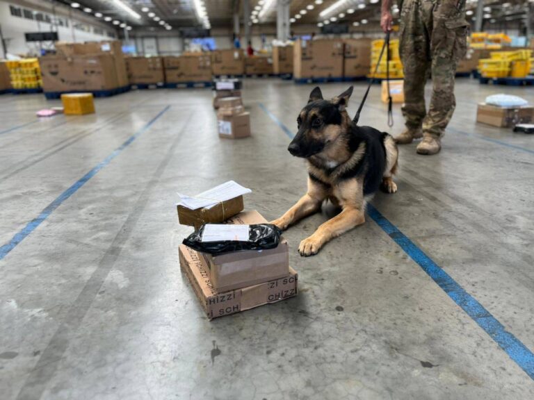 Operação Em Centro Dos Correios Intercepta Drogas, Anabolizantes E Arma