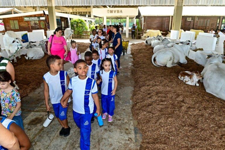 Alunos Da Rede Municipal Visitam A Fenagro E Vivenciam Aprendizagem Fora Da Sala De Aula