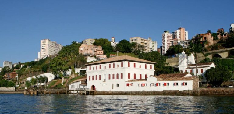 MAM Inicia Manutenção Emergencial E Visitação é Interrompida