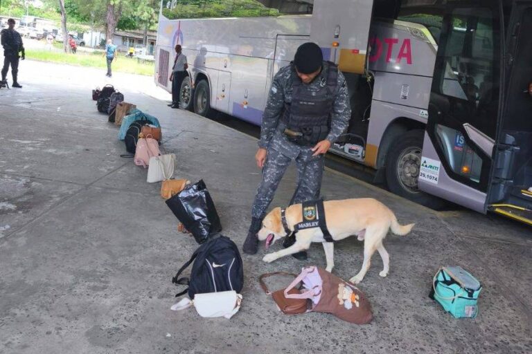 PM Reforça Segurança No Terminal Rodoviário De Salvador