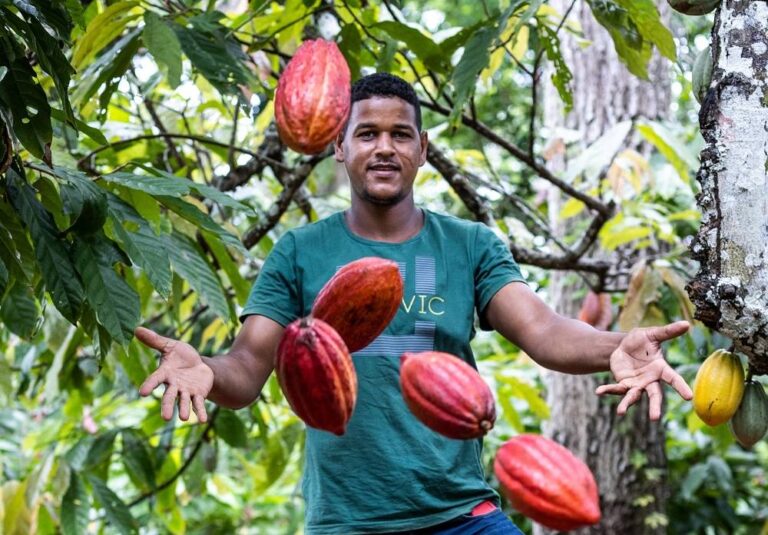 Lula Sanciona Lei Que Reconhece Ilhéus Na Rota Do Cacau