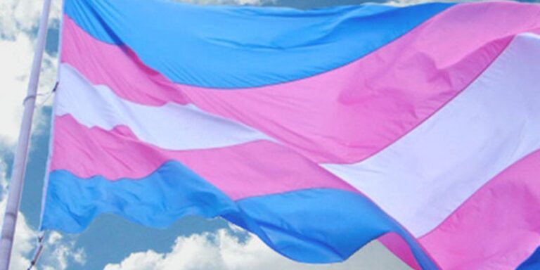 Viva Maria dá voz ao ativismo trans no 29 de janeiro