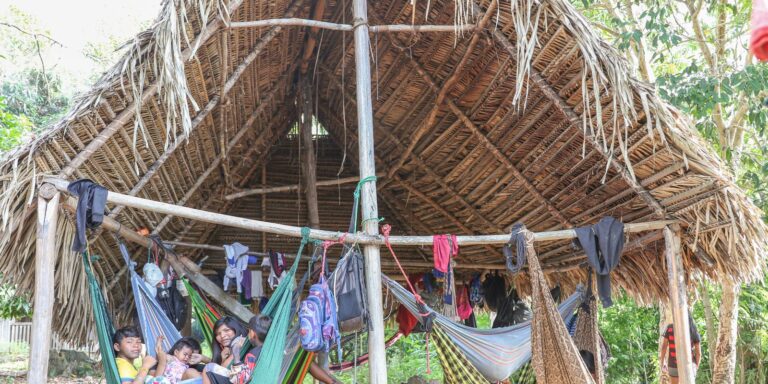 Audiência inédita debate regras eleitorais com indígenas