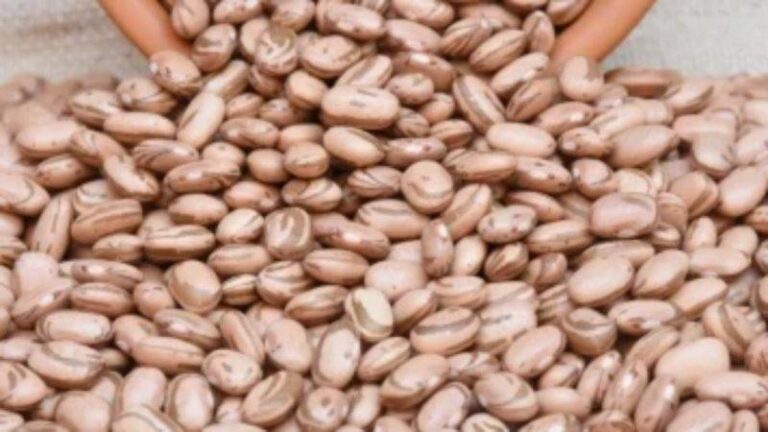 Preço Do Feijão-carioca Dispara No País E Pressiona Consumidores Em Salvador