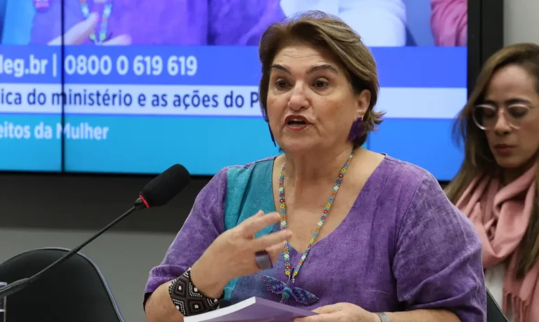 Em Reunião Do Mercosul, Brasil Propõe Pacto Regional Contra O Feminicídio
