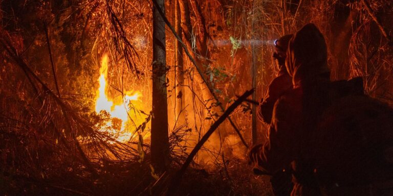 MP libera mais de R$ 337 milhões para combate a incêndios florestais