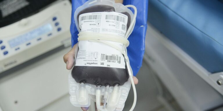 Junho Vermelho reforça a importância da doação de sangue