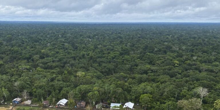 Antônia Soares traz a força da floresta ao Viva Maria